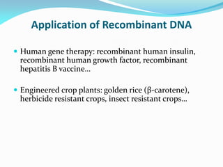 Application of Recombinant DNA
 Human gene therapy: recombinant human insulin,
recombinant human growth factor, recombinant
hepatitis B vaccine…
 Engineered crop plants: golden rice (β-carotene),
herbicide resistant crops, insect resistant crops…
 