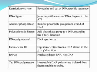 Restriction enzyme Recognize and cut at DNA specific sequence
DNA ligase Join compatible ends of DNA fragment. Use
ATP
Alkaline phosphatase Remove phosphate group from strand of
DNA
Polynucleotide kinase Add phosphate group to a DNA strand in
the 5’ to 3’ direction
DNA polymeraseI DNA synthesize
Exonuclease III Digest nucleotide from a DNA strand in the
3’ to 5’ direction
RNAse Nuclease digest RNA, not DNA
Taq DNA polymerase Heat-stable DNA polymerase isolated from
thermostable microbe.
 
