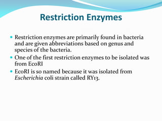  Restriction enzymes are primarily found in bacteria
and are given abbreviations based on genus and
species of the bacteria.
 One of the first restriction enzymes to be isolated was
from EcoRI
 EcoRI is so named because it was isolated from
Escherichia coli strain called RY13.
Restriction Enzymes
 