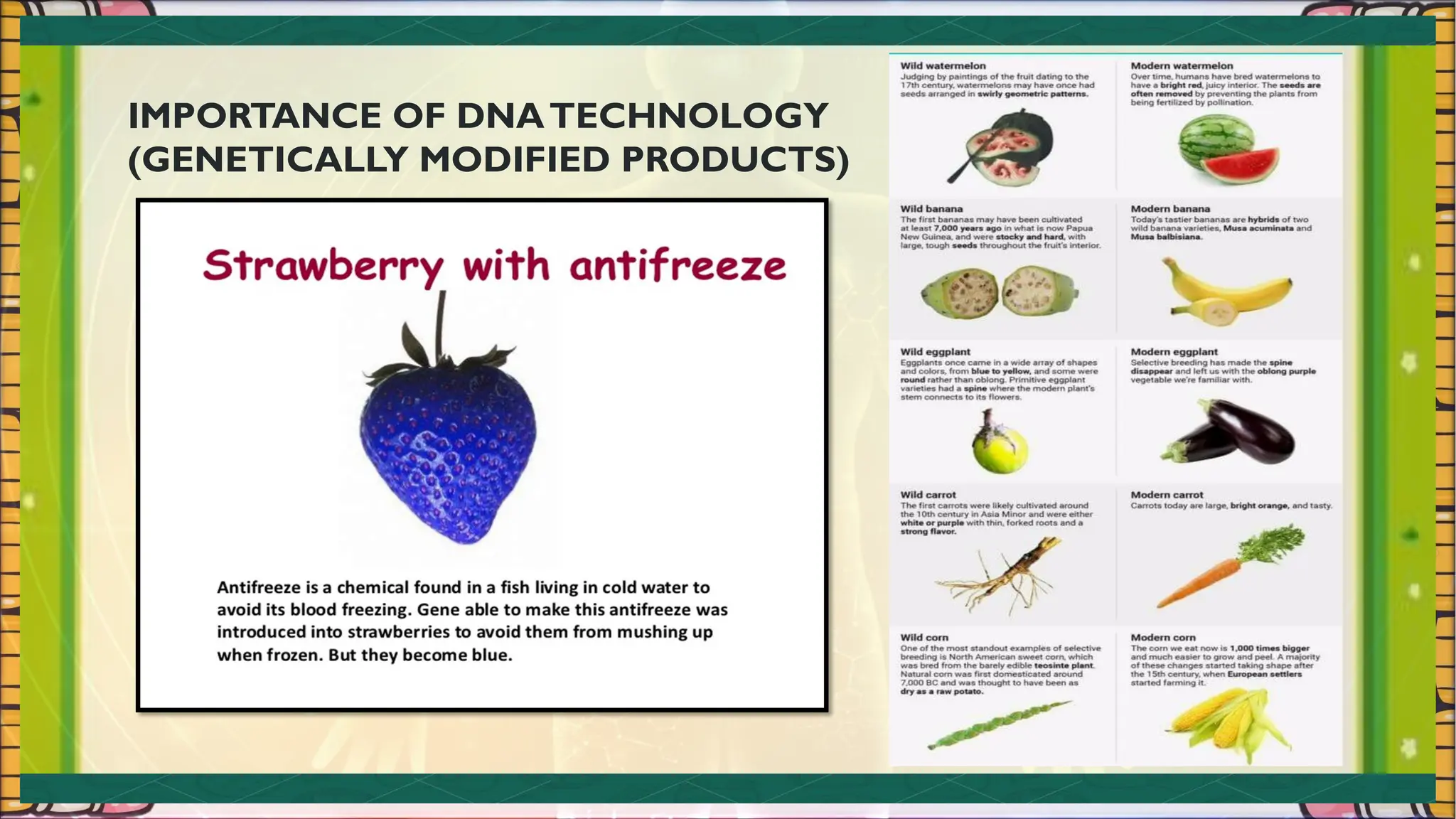 IMPORTANCE OF DNATECHNOLOGY
(GENETICALLY MODIFIED PRODUCTS)
 
