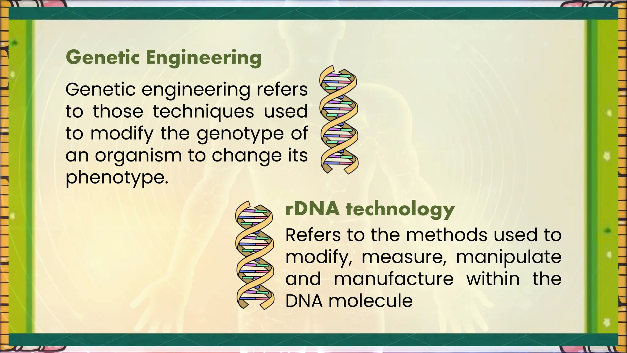 Genetic engineering refers
to those techniques used
to modify the genotype of
an organism to change its
phenotype.
Refers to the methods used to
modify, measure, manipulate
and manufacture within the
DNA molecule
Genetic Engineering
rDNA technology
 