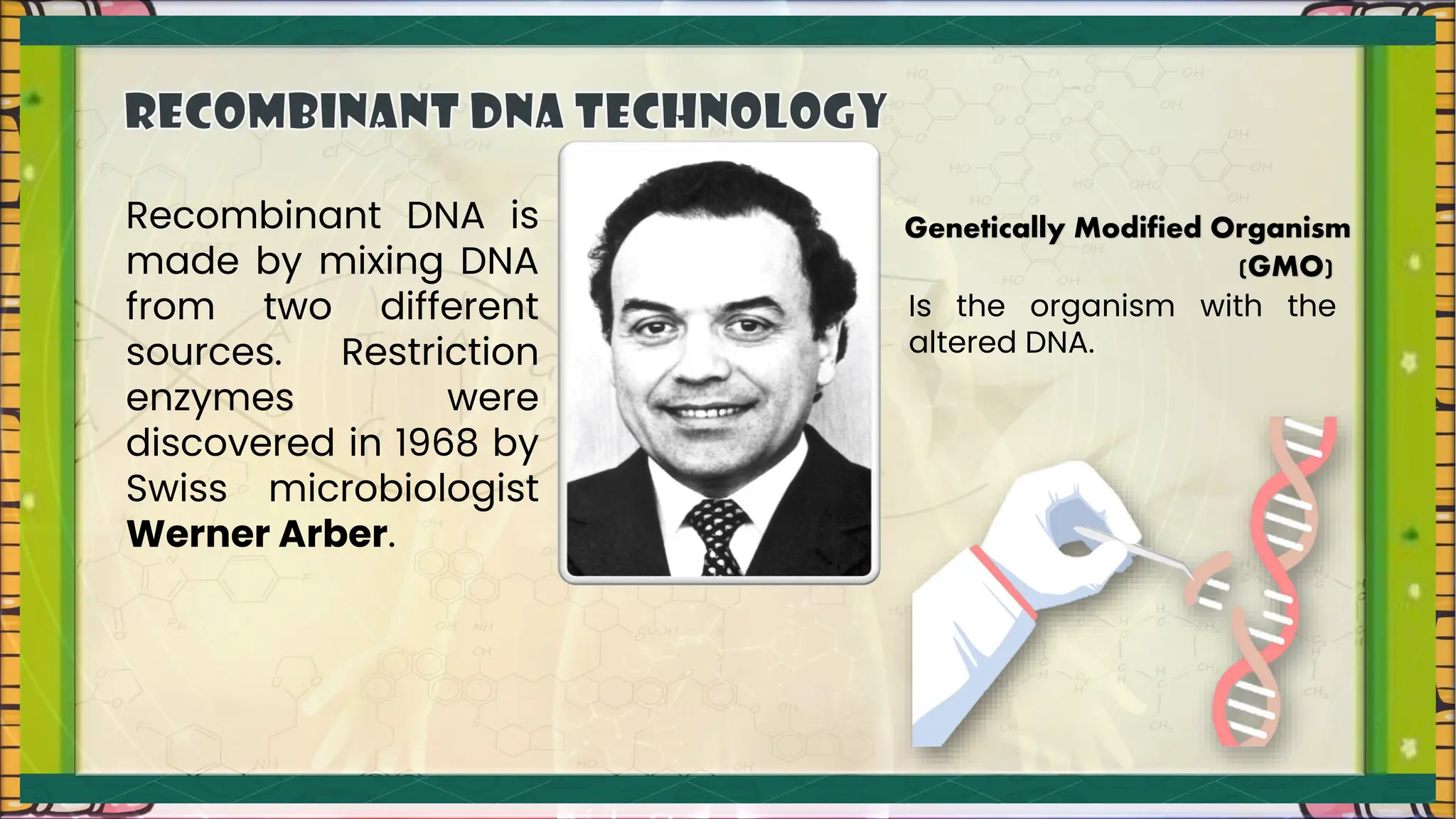 Recombinant DNA is
made by mixing DNA
from two different
sources. Restriction
enzymes were
discovered in 1968 by
Swiss microbiologist
Werner Arber.
Genetically Modified Organism
(GMO)
Is the organism with the
altered DNA.
 