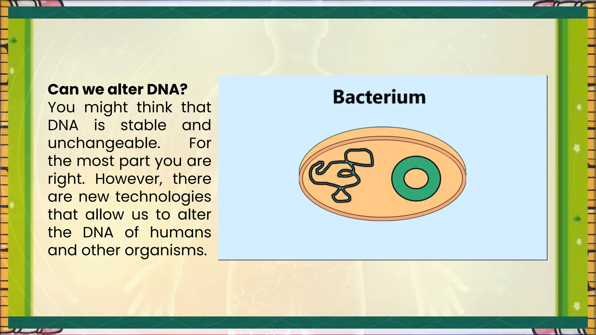 Can we alter DNA?
You might think that
DNA is stable and
unchangeable. For
the most part you are
right. However, there
are new technologies
that allow us to alter
the DNA of humans
and other organisms.
 