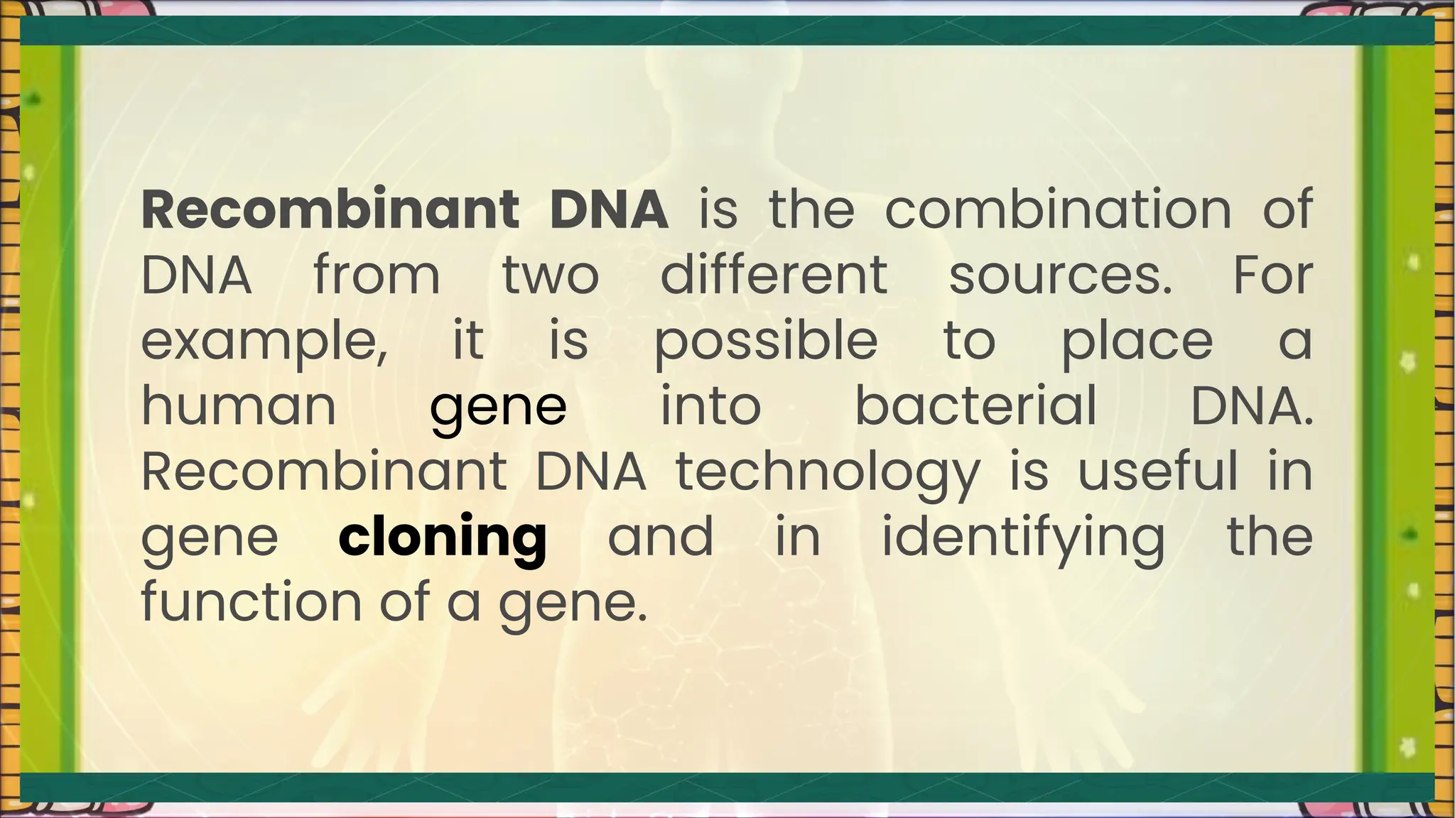 Recombinant DNA is the combination of
DNA from two different sources. For
example, it is possible to place a
human gene into bacterial DNA.
Recombinant DNA technology is useful in
gene cloning and in identifying the
function of a gene.
 