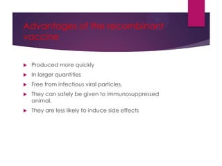 Advantages of the recombinant
vaccine
 Produced more quickly
 In larger quantities
 Free from infectious viral particles.
 They can safely be given to immunosuppressed
animal.
 They are less likely to induce side effects
 