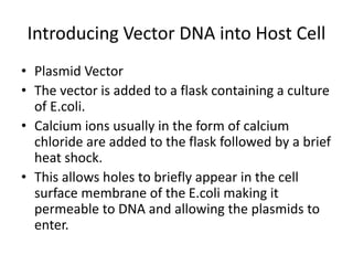 Introducing Vector DNA into Host Cell
• Plasmid Vector
• The vector is added to a flask containing a culture
of E.coli.
• Calcium ions usually in the form of calcium
chloride are added to the flask followed by a brief
heat shock.
• This allows holes to briefly appear in the cell
surface membrane of the E.coli making it
permeable to DNA and allowing the plasmids to
enter.
 