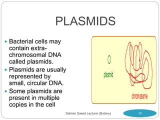 PLASMIDS
 Bacterial cells may
contain extra-
chromosomal DNA
called plasmids.
 Plasmids are usually
represented by
small, circular DNA.
 Some plasmids are
present in multiple
copies in the cell
14
Salman Saeed Lecturer (Botany)
 
