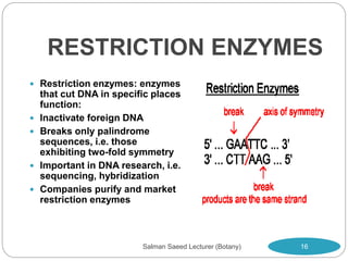 RESTRICTION ENZYMES
 Restriction enzymes: enzymes
that cut DNA in specific places
function:
 Inactivate foreign DNA
 Breaks only palindrome
sequences, i.e. those
exhibiting two-fold symmetry
 Important in DNA research, i.e.
sequencing, hybridization
 Companies purify and market
restriction enzymes
16
Salman Saeed Lecturer (Botany)
 