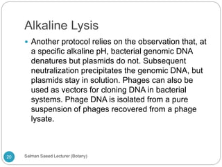 Alkaline Lysis
 Another protocol relies on the observation that, at
a specific alkaline pH, bacterial genomic DNA
denatures but plasmids do not. Subsequent
neutralization precipitates the genomic DNA, but
plasmids stay in solution. Phages can also be
used as vectors for cloning DNA in bacterial
systems. Phage DNA is isolated from a pure
suspension of phages recovered from a phage
lysate.
20 Salman Saeed Lecturer (Botany)
 