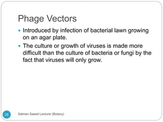 Phage Vectors
 Introduced by infection of bacterial lawn growing
on an agar plate.
 The culture or growth of viruses is made more
difficult than the culture of bacteria or fungi by the
fact that viruses will only grow.
25 Salman Saeed Lecturer (Botany)
 