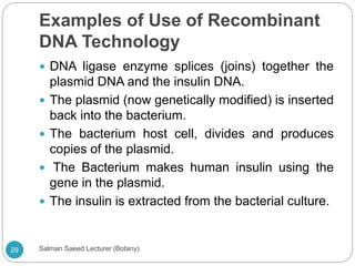 Examples of Use of Recombinant
DNA Technology
 DNA ligase enzyme splices (joins) together the
plasmid DNA and the insulin DNA.
 The plasmid (now genetically modified) is inserted
back into the bacterium.
 The bacterium host cell, divides and produces
copies of the plasmid.
 The Bacterium makes human insulin using the
gene in the plasmid.
 The insulin is extracted from the bacterial culture.
29 Salman Saeed Lecturer (Botany)
 