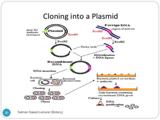 30 Salman Saeed Lecturer (Botany)
 