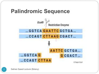 Palindromic Sequence
7 Salman Saeed Lecturer (Botany)
 