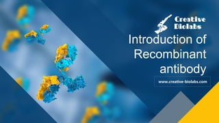 Introduction of
Recombinant
antibody
www.creative-biolabs.com
 