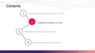 Recombinant Antibody Overview I - Creative Biolabs | PPTX