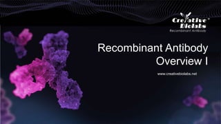www.creativebiolabs.net
Recombinant Antibody
Overview I
 