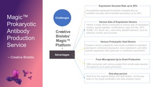 Magic™
Prokaryotic
Antibody
Production
Service
– Creative Biolabs
w w w . c r e a t i v e b i o l a b s . n e t
Advantages
Challenges
Creative
Biolabs’
Magic™
Platform
Various Prokaryotic Host Strains
Possess various prokaryotic host strains suitable for standard
expression, enhanced expression, toxic expression, and other
specific expression with particular or combined requirement.
Various Sets of Expression Vectors
Harbor a magic library composed of various sets of expression
vectors, signal peptides, modifications, tags (6-8 His, GST,
SUMO, Trx, NusA, etc.), and every detailed element, such as
selection marker and promoter.
Expression Success Rate up to 95%
Successfully expressed hundreds of targets with an
excellent success rate of soluble expression up to 95%.
From Micrograms Up to Gram Production
Offer production with various scales from small-scale (several
micrograms) up to gram production.
One-stop service
Start from the original design and optimization, all the way
down to the target purification and data analysis report.
 