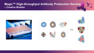 Magic™ High-throughput Antibody Production Service
– Creative Biolabs
w w w . c r e a t i v e b i o l a b s . n e t
 