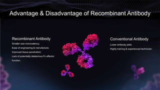 Advantage & Disadvantage of Recombinant Antibody
Recombinant Antibody
Smaller size monovalency;
Ease of engineering & manufacture;
Improved tissue penetration;
Lack of potentially deleterious Fc effector
function.
Conventional Antibody
Lower antibody yield;
Highly training & experienced technician.
 
