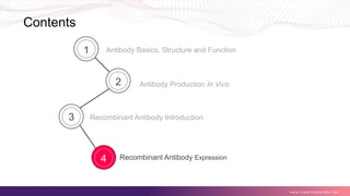 Contents
Recombinant Antibody Expression
Antibody Basics, Structure and Function
Antibody Production In Vivo
Recombinant Antibody Introduction
w w w . c r e a t i v e b i o l a b s . n e t
2
3
4
1
 
