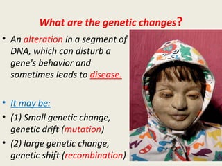 What are the genetic changes?
• An alteration in a segment of
DNA, which can disturb a
gene's behavior and
sometimes leads to disease.
• It may be:
• (1) Small genetic change,
genetic drift (mutation)
• (2) large genetic change,
genetic shift (recombination)
 