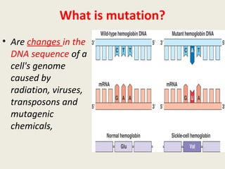 What is mutation?
• Are changes in the
DNA sequence of a
cell's genome
caused by
radiation, viruses,
transposons and
mutagenic
chemicals,
 