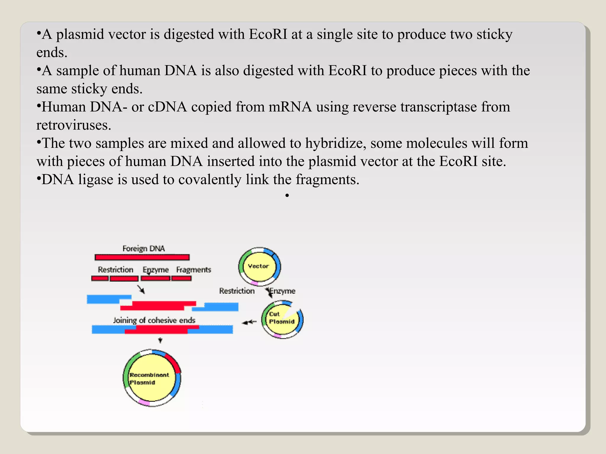 •A plasmid vector is digested with EcoRI at a single site to produce two sticky
ends.
•A sample of human DNA is also digested with EcoRI to produce pieces with the
same sticky ends.
•Human DNA- or cDNA copied from mRNA using reverse transcriptase from
retroviruses.
•The two samples are mixed and allowed to hybridize, some molecules will form
with pieces of human DNA inserted into the plasmid vector at the EcoRI site.
•DNA ligase is used to covalently link the fragments.
•
 