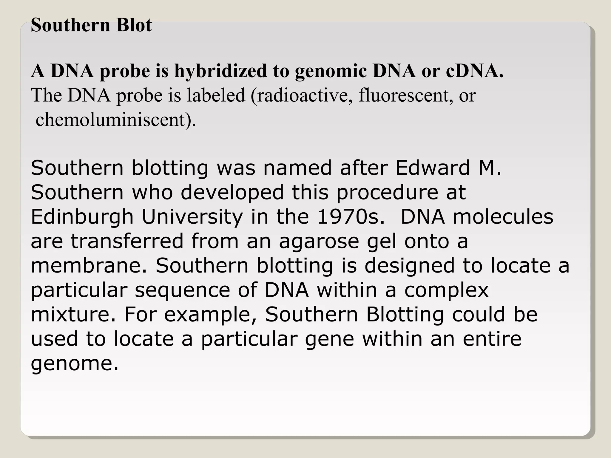 Southern Blot
A DNA probe is hybridized to genomic DNA or cDNA.
The DNA probe is labeled (radioactive, fluorescent, or
chemoluminiscent).
Southern blotting was named after Edward M.
Southern who developed this procedure at
Edinburgh University in the 1970s. DNA molecules
are transferred from an agarose gel onto a
membrane. Southern blotting is designed to locate a
particular sequence of DNA within a complex
mixture. For example, Southern Blotting could be
used to locate a particular gene within an entire
genome.
 