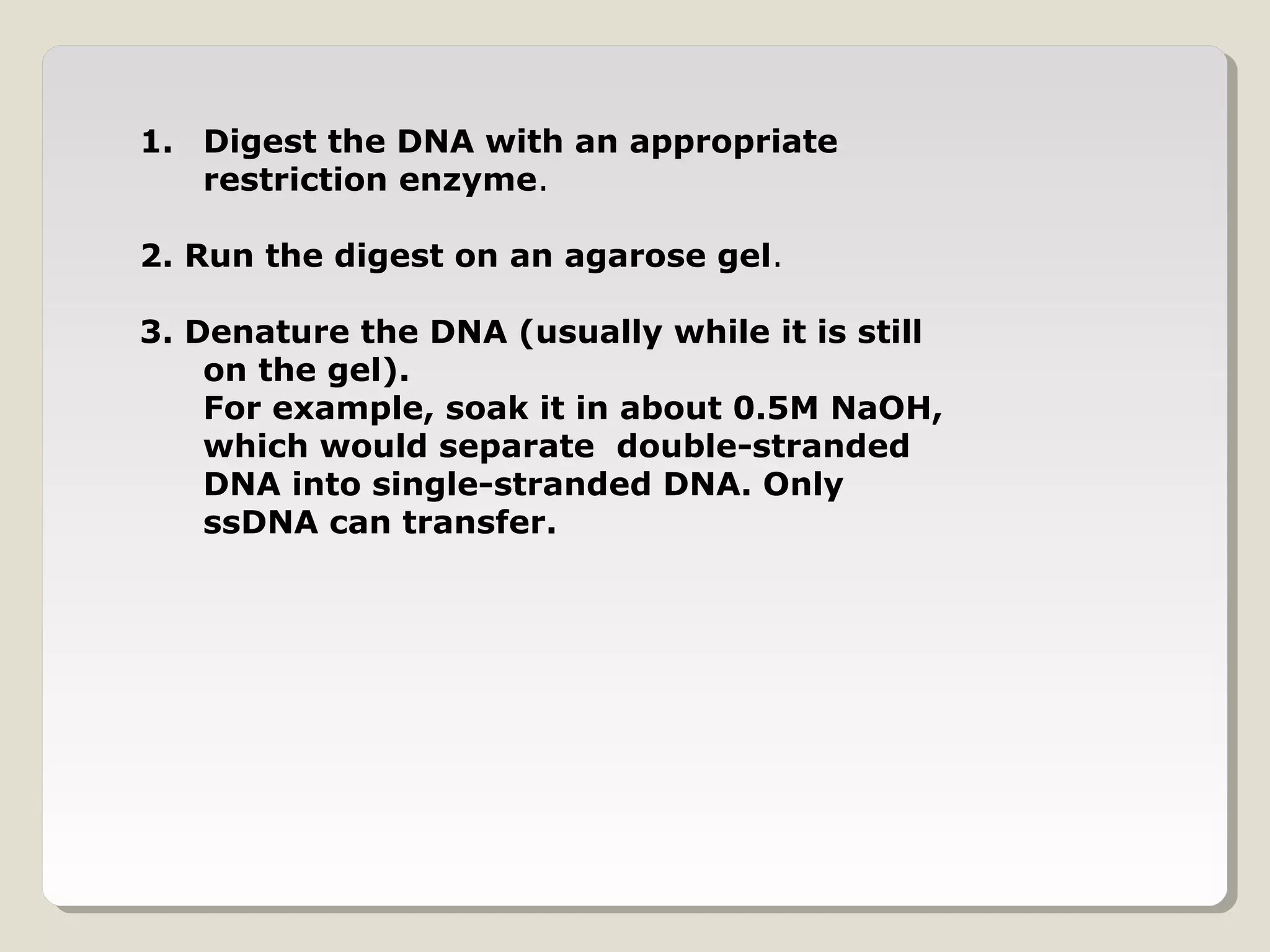 1. Digest the DNA with an appropriate 
restriction enzyme.
2. Run the digest on an agarose gel.
3. Denature the DNA (usually while it is still 
on the gel).
For example, soak it in about 0.5M NaOH, 
which would separate  double-stranded 
DNA into single-stranded DNA. Only 
ssDNA can transfer.
                                                                     
 