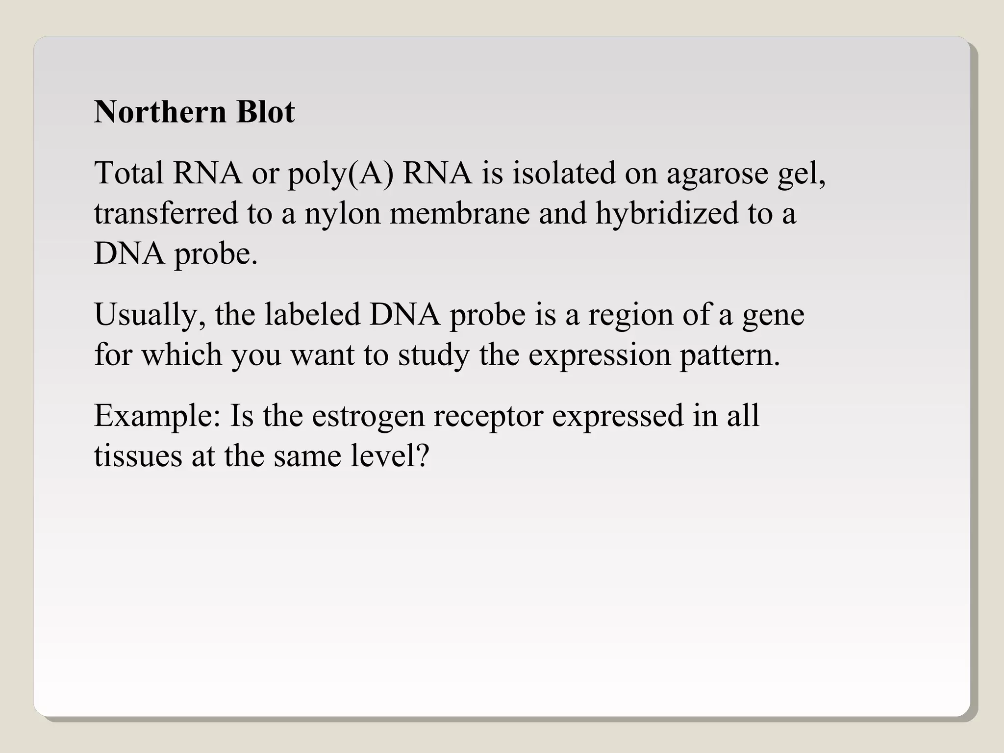 Northern Blot
Total RNA or poly(A) RNA is isolated on agarose gel,
transferred to a nylon membrane and hybridized to a
DNA probe.
Usually, the labeled DNA probe is a region of a gene
for which you want to study the expression pattern.
Example: Is the estrogen receptor expressed in all
tissues at the same level?
 