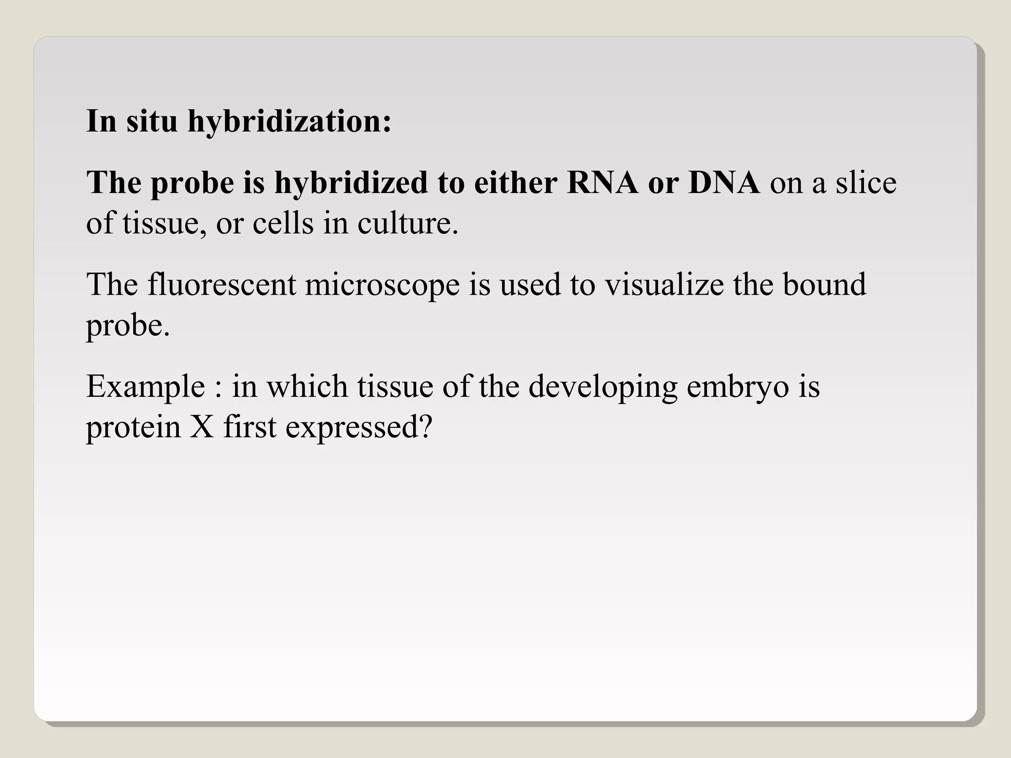 In situ hybridization:
The probe is hybridized to either RNA or DNA on a slice
of tissue, or cells in culture.
The fluorescent microscope is used to visualize the bound
probe.
Example : in which tissue of the developing embryo is
protein X first expressed?
 