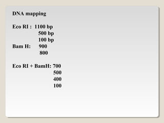 DNA mapping
Eco RI : 1100 bp
500 bp
100 bp
Bam H: 900
800
Eco RI + BamH: 700
500
400
100
 