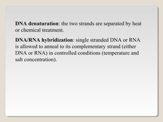 DNA denaturation: the two strands are separated by heat
or chemical treatment.
DNA/RNA hybridization: single stranded DNA or RNA
is allowed to anneal to its complementary strand (either
DNA or RNA) in controlled conditions (temperature and
salt concentration).
 