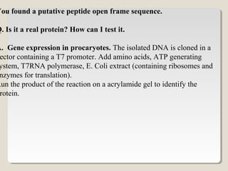 You found a putative peptide open frame sequence.
Q. Is it a real protein? How can I test it.
A. Gene expression in procaryotes. The isolated DNA is cloned in a
ector containing a T7 promoter. Add amino acids, ATP generating
ystem, T7RNA polymerase, E. Coli extract (containing ribosomes and
nzymes for translation).
Run the product of the reaction on a acrylamide gel to identify the
rotein.
 