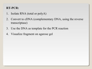 RT-PCR:
1. Isolate RNA (total or polyA)
2. Convert to cDNA (complementary DNA, using the reverse
transcriptase)
3. Use the DNA as template for the PCR reaction
4. Visualize fragment on agarose gel
 