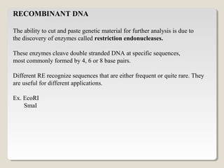 RECOMBINANT DNA
The ability to cut and paste genetic material for further analysis is due to
the discovery of enzymes called restriction endonucleases.
These enzymes cleave double stranded DNA at specific sequences,
most commonly formed by 4, 6 or 8 base pairs.
Different RE recognize sequences that are either frequent or quite rare. They
are useful for different applications.
Ex. EcoRI
SmaI
 