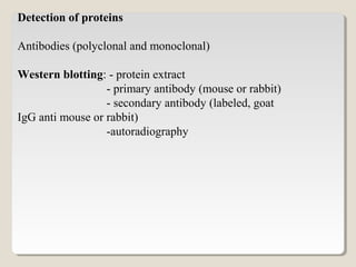 Detection of proteins
Antibodies (polyclonal and monoclonal)
Western blotting: - protein extract
- primary antibody (mouse or rabbit)
- secondary antibody (labeled, goat
IgG anti mouse or rabbit)
-autoradiography
 