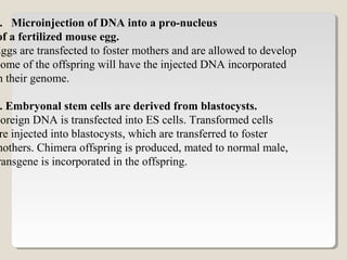 . Microinjection of DNA into a pro-nucleus
of a fertilized mouse egg.
Eggs are transfected to foster mothers and are allowed to develop
Some of the offspring will have the injected DNA incorporated
n their genome.
. Embryonal stem cells are derived from blastocysts.
Foreign DNA is transfected into ES cells. Transformed cells
re injected into blastocysts, which are transferred to foster
mothers. Chimera offspring is produced, mated to normal male,
ransgene is incorporated in the offspring.
 
