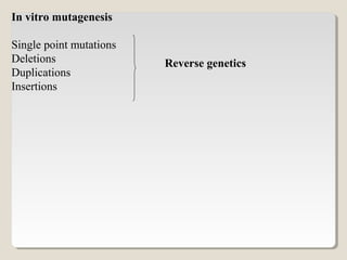 In vitro mutagenesis
Single point mutations
Deletions
Duplications
Insertions
Reverse genetics
 