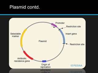 Plasmid contd.
 