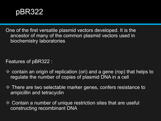 pBR322
One of the first versatile plasmid vectors developed. It is the
ancestor of many of the common plasmid vectors used in
biochemistry laboratories
Features of pBR322 :
 contain an origin of replication (ori) and a gene (rop) that helps to
regulate the number of copies of plasmid DNA in a cell
 There are two selectable marker genes, confers resistance to
ampicillin and tetracyclin
 Contain a number of unique restriction sites that are useful
constructing recombinant DNA
 