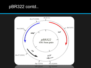 pBR322 contd..
 