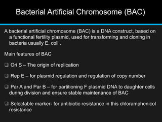 Bacterial Artificial Chromosome (BAC)
A bacterial artificial chromosome (BAC) is a DNA construct, based on
a functional fertility plasmid, used for transforming and cloning in
bacteria usually E. coli .
Main features of BAC
 Ori S – The origin of replication
 Rep E – for plasmid regulation and regulation of copy number
 Par A and Par B – for partitioning F plasmid DNA to daughter cells
during division and ensure stable maintenance of BAC
 Selectable marker- for antibiotic resistance in this chloramphenicol
resistance
 