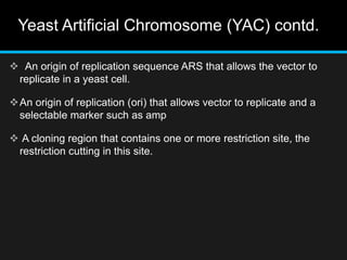 Yeast Artificial Chromosome (YAC) contd.
 An origin of replication sequence ARS that allows the vector to
replicate in a yeast cell.
An origin of replication (ori) that allows vector to replicate and a
selectable marker such as amp
 A cloning region that contains one or more restriction site, the
restriction cutting in this site.
 