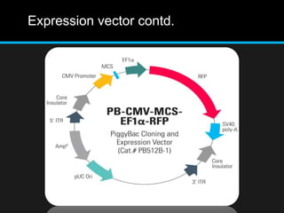 Expression vector contd.
 