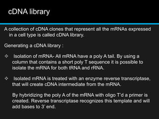 cDNA library
A collection of cDNA clones that represent all the mRNAs expressed
in a cell type is called cDNA library.
Generating a cDNA library :
 Isolation of mRNA- All mRNA have a poly A tail. By using a
column that contains a short poly T sequence it is possible to
isolate the mRNA for both tRNA and rRNA.
 Isolated mRNA is treated with an enzyme reverse transcriptase,
that will create cDNA intermediate from the mRNA.
By hybridizing the poly A of the mRNA with oligo T’d a primer is
created. Reverse transcriptase recognizes this template and will
add bases to 3’ end.
 