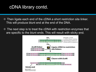 cDNA library contd.
 Then ligate each end of the cDNA a short restriction site linker.
This will produce blunt end at the end of the DNA.
 The next step is to treat the cDNA with restriction enzymes that
are specific to the blunt ends. This will result with sticky end.
 