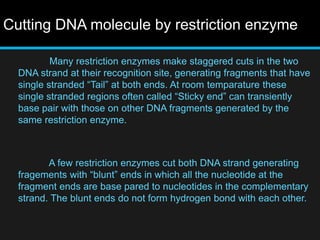 Cutting DNA molecule by restriction enzyme
Many restriction enzymes make staggered cuts in the two
DNA strand at their recognition site, generating fragments that have
single stranded “Tail” at both ends. At room temparature these
single stranded regions often called “Sticky end” can transiently
base pair with those on other DNA fragments generated by the
same restriction enzyme.
A few restriction enzymes cut both DNA strand generating
fragements with “blunt” ends in which all the nucleotide at the
fragment ends are base pared to nucleotides in the complementary
strand. The blunt ends do not form hydrogen bond with each other.
 