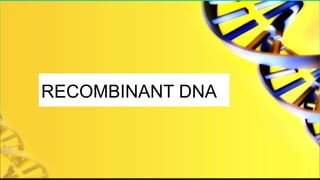 RECOMBINANT DNA
 