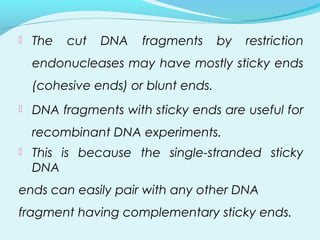  The cut DNA fragments by restriction
endonucleases may have mostly sticky ends
(cohesive ends) or blunt ends.
 DNA fragments with sticky ends are useful for
recombinant DNA experiments.
 This is because the single-stranded sticky
DNA
ends can easily pair with any other DNA
fragment having complementary sticky ends.
 
